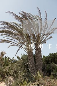 信用卡逾期能影响工作吗