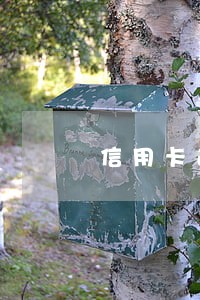 信用卡逾期能征选村干部吗 信用卡逾期能征选村干部吗