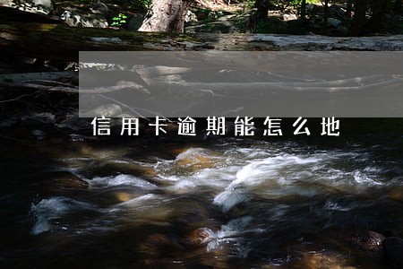 信用卡逾期能怎么地 信用卡逾期能怎么地