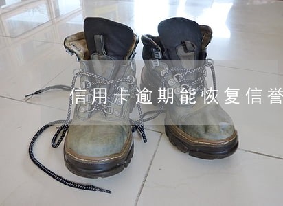 信用卡逾期能恢复信誉度吗