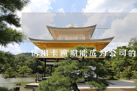 信用卡逾期能成为公司的法人吗 信用卡逾期能成为公司的法人吗