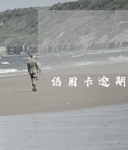 信用卡逾期能房贷吗6 信用卡逾期能房贷吗6
