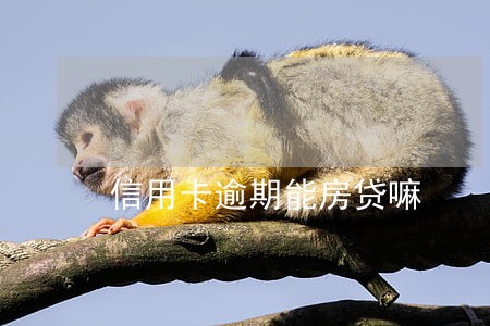 信用卡逾期能房贷嘛 信用卡逾期能房贷嘛