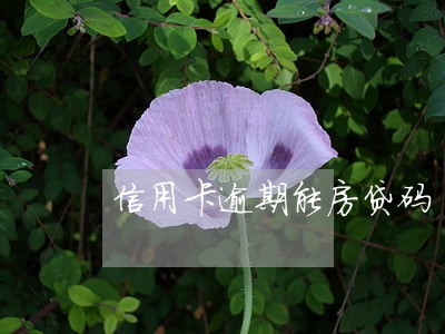 信用卡逾期能房贷码 信用卡逾期能房贷码