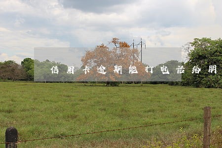 信用卡逾期能打电话给朋友吗