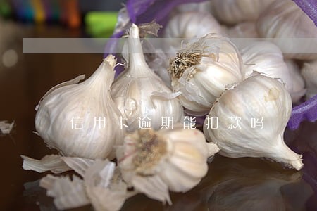 信用卡逾期能扣款吗 信用卡逾期能扣款吗