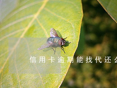 信用卡逾期能找代还么 信用卡逾期能找代还么