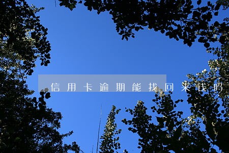 信用卡逾期能找回来钱吗