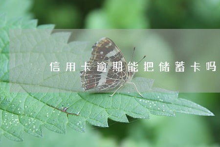 信用卡逾期能把储蓄卡吗 信用卡逾期能把储蓄卡吗