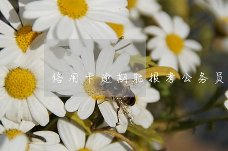 信用卡逾期能报考公务员吗 信用卡逾期能报考公务员吗