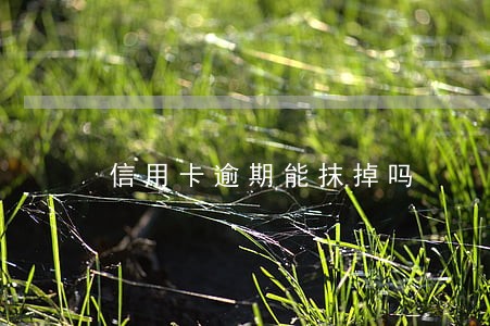 信用卡逾期能抹掉吗 信用卡逾期能抹掉吗