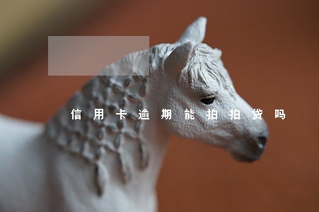 信用卡逾期能拍拍贷吗 信用卡逾期能拍拍贷吗