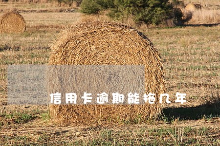 信用卡逾期能拖几年 信用卡逾期能拖几年