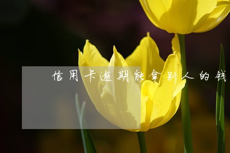 信用卡逾期能拿别人的钱吗