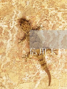 信用卡逾期能按揭房子吗 信用卡逾期能按揭房子吗