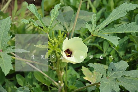 信用卡逾期能探监吗 信用卡逾期能探监吗
