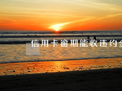信用卡逾期能收违约金吗