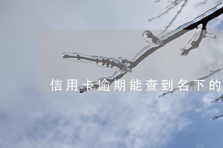 信用卡逾期能查到名下的资产吗 信用卡逾期能查到名下的资产吗