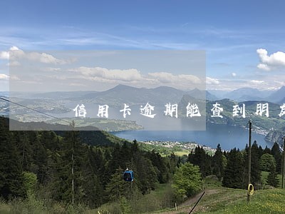 信用卡逾期能查到朋友电话吗
