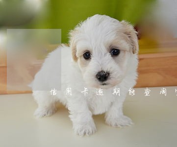 信用卡逾期能查淘宝 信用卡逾期能查淘宝