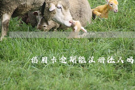 信用卡逾期能注册法人吗 信用卡逾期能注册法人吗