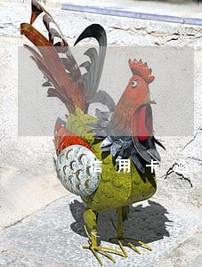信用卡逾期能注册滴滴账号 信用卡逾期能注册滴滴账号