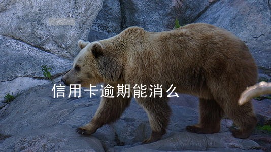 信用卡逾期能消么