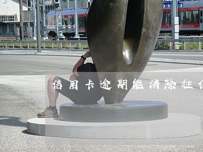信用卡逾期能消除征信吗 信用卡逾期能消除征信吗