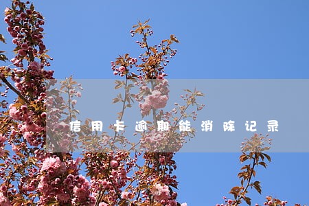 信用卡逾期能消除记录 信用卡逾期能消除记录