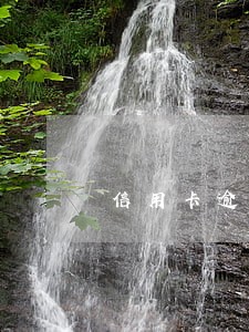 信用卡逾期能用代还软件还吗 信用卡逾期能用代还软件还吗