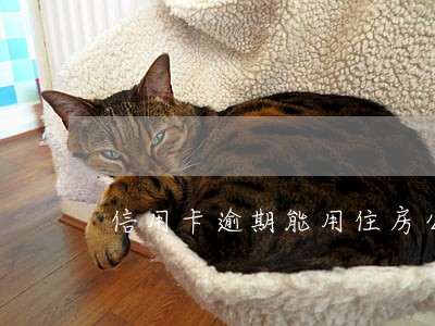 信用卡逾期能用住房公积金吗