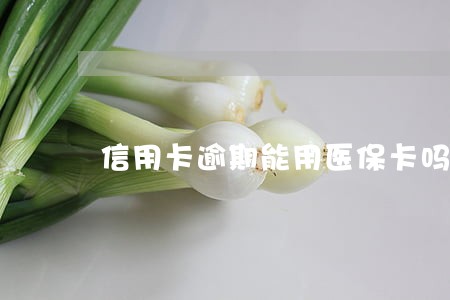 信用卡逾期能用医保卡吗