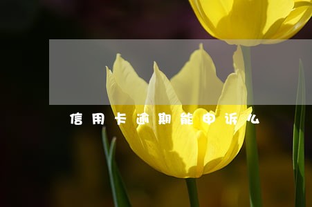 信用卡逾期能申诉么 信用卡逾期能申诉么