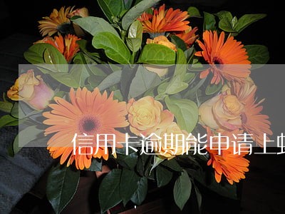 信用卡逾期能申请上蚂蚁借呗 信用卡逾期能申请上蚂蚁借呗