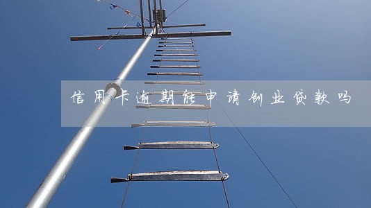 信用卡逾期能申请创业贷款吗 信用卡逾期能申请创业贷款吗