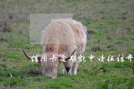 信用卡逾期能申请征信异议吗 信用卡逾期能申请征信异议吗