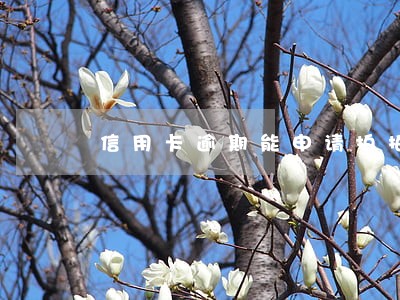 信用卡逾期能申请拍拍贷不 信用卡逾期能申请拍拍贷不