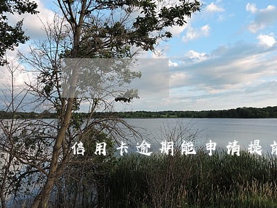 信用卡逾期能申请提前还款吗 信用卡逾期能申请提前还款吗