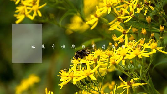 信用卡逾期能申请贷款6 信用卡逾期能申请贷款6