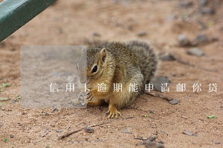 信用卡逾期能申请邮你贷 信用卡逾期能申请邮你贷