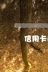 信用卡逾期能社保和公积金吗