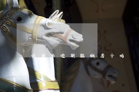 信用卡逾期能租房子吗 信用卡逾期能租房子吗