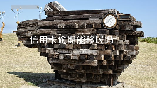 信用卡逾期能移民吗 信用卡逾期能移民吗