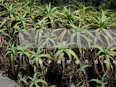 信用卡逾期能竞拍车牌吗 信用卡逾期能竞拍车牌吗