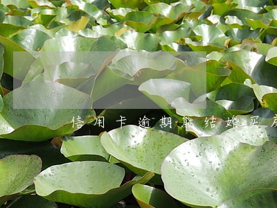 信用卡逾期能结婚买房么 信用卡逾期能结婚买房么