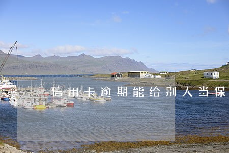 信用卡逾期能给别人当保人吗 信用卡逾期能给别人当保人吗
