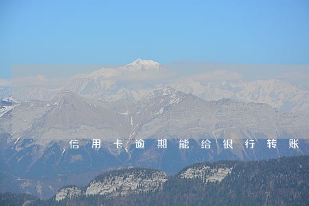 信用卡逾期能给银行转账吗 信用卡逾期能给银行转账吗