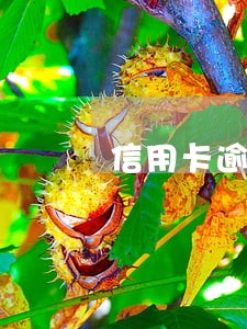 信用卡逾期能继续用吗