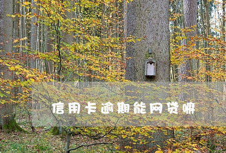 信用卡逾期能网贷嘛 信用卡逾期能网贷嘛