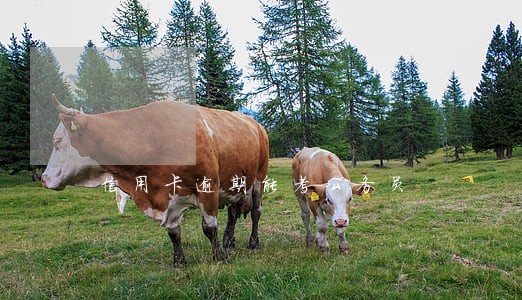 信用卡逾期能考公务员